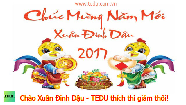 Tết Đinh Dậu - TEDU thích thì giảm thôi!