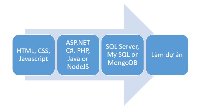 Tư vấn lộ trình học lập trình web cho người mới bắt đầu