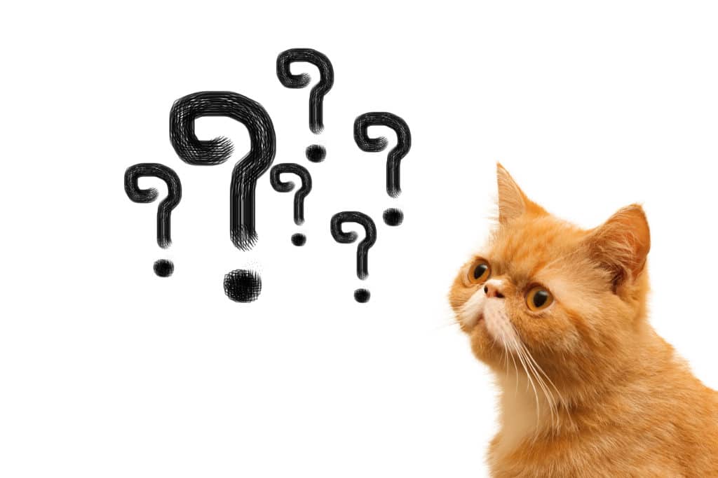 Nguyên nhân nào khiến bạn làm lập trình lâu rồi vẫn chưa giỏi?